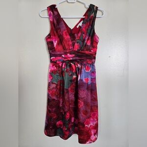 Banana Republic Silk Red Pink Floral V-Neck Sleeveless Dress Size 00P